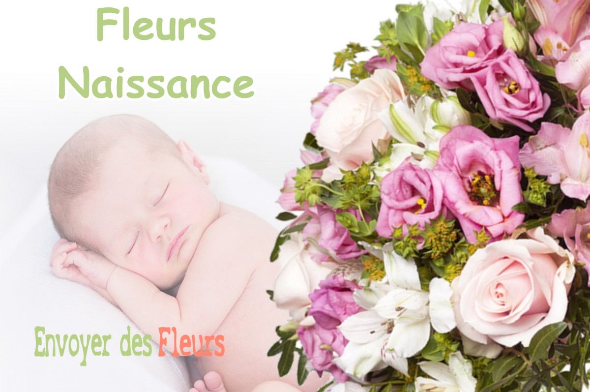 lIVRAISON FLEURS NAISSANCE à SAINT-BAUDILLE-ET-PIPET